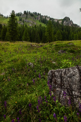 Hike 1--Malga Vallesinella Di Sopra